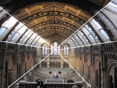 Natural History Museum main hall - perspective illustrated